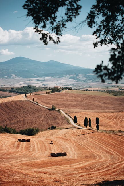 Beautiful view of the Tuscan landscape with golden fields and distant mountains under a blue sky.