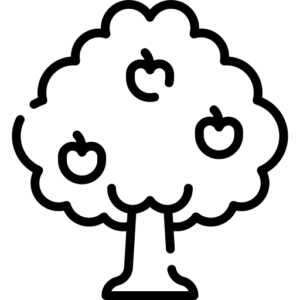 Icône énergie renouvelable - Solélio