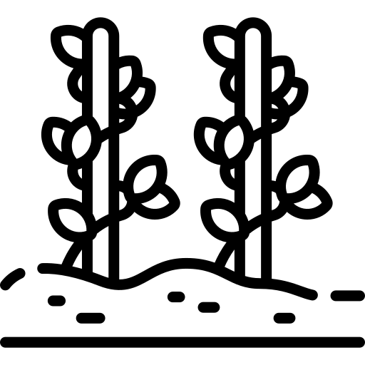 Icône énergie renouvelable - Solélio